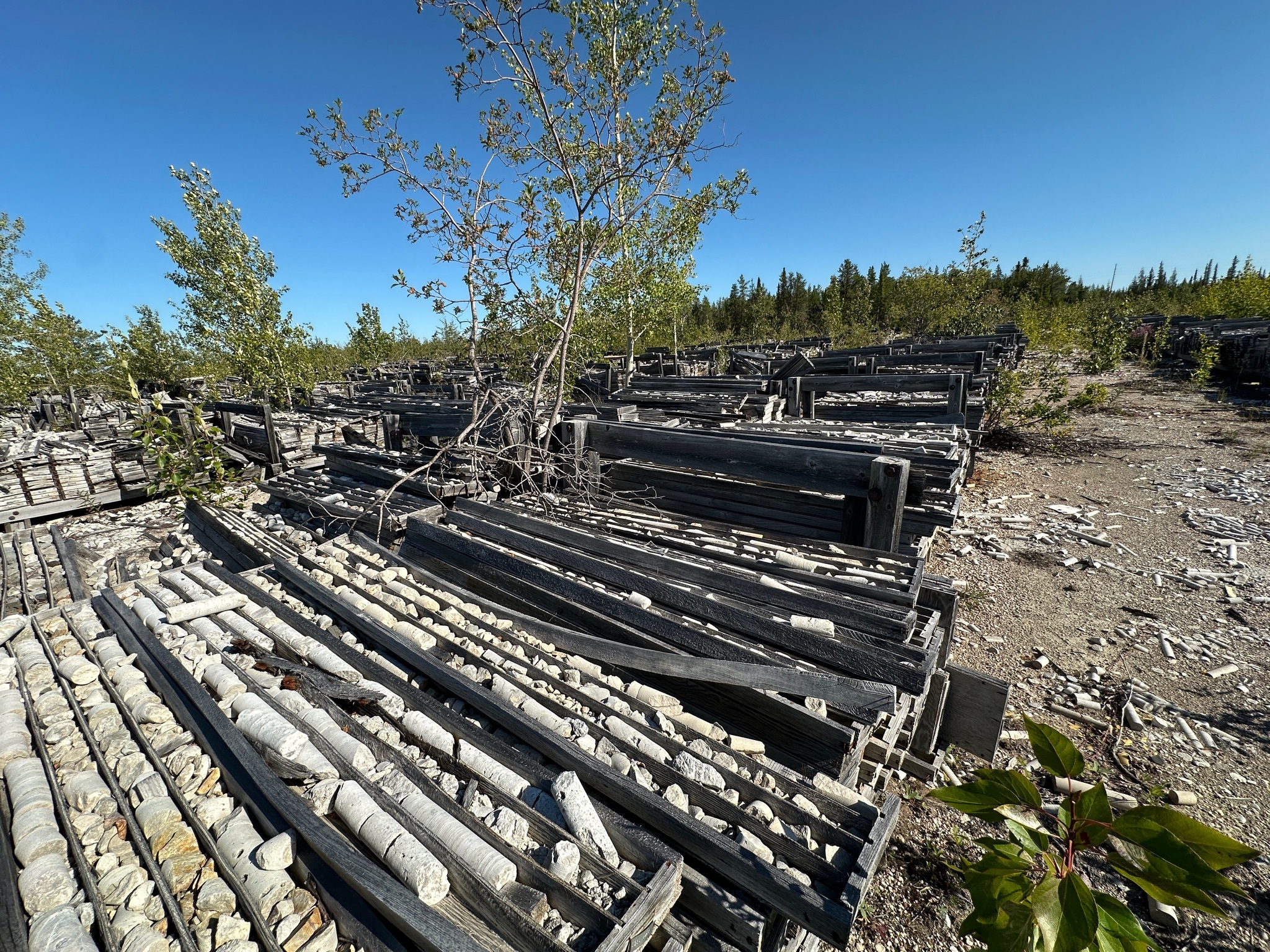 Impact Assessment and Cumulative Effects