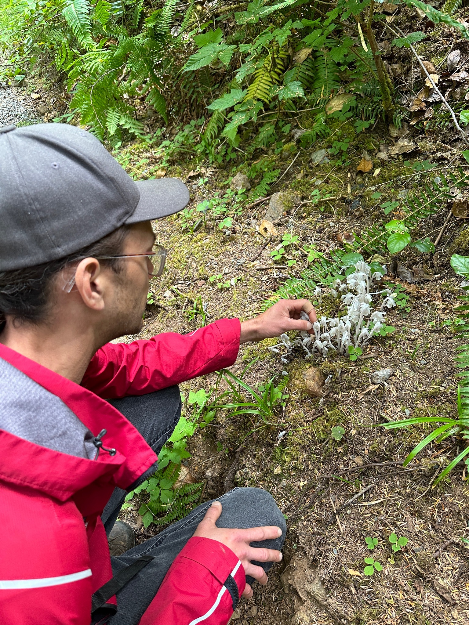 Environmental Monitoring and Guardians Programs