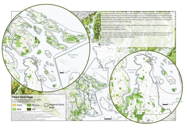 Impact Assessment and Cumulative Effects