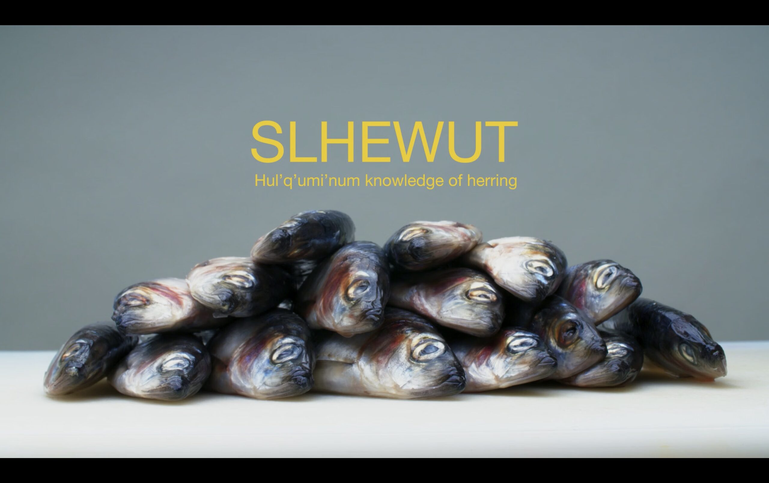 Thumbnail of video. An image of fish on a table and a title and subtitle.